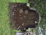 image of grave number 896586